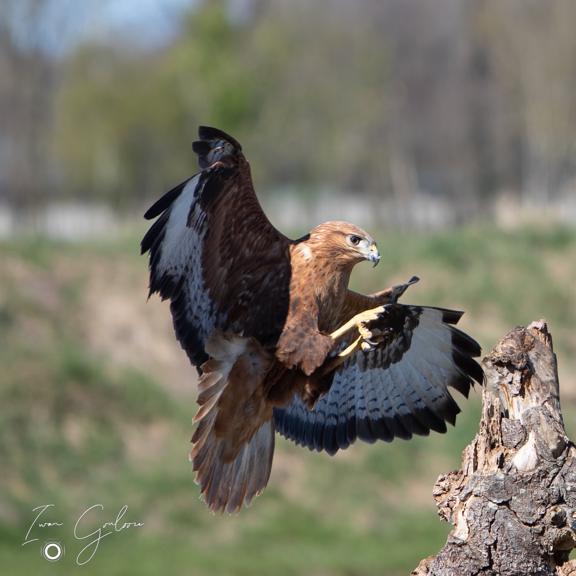 27 maart 2022 151945 1DX46160